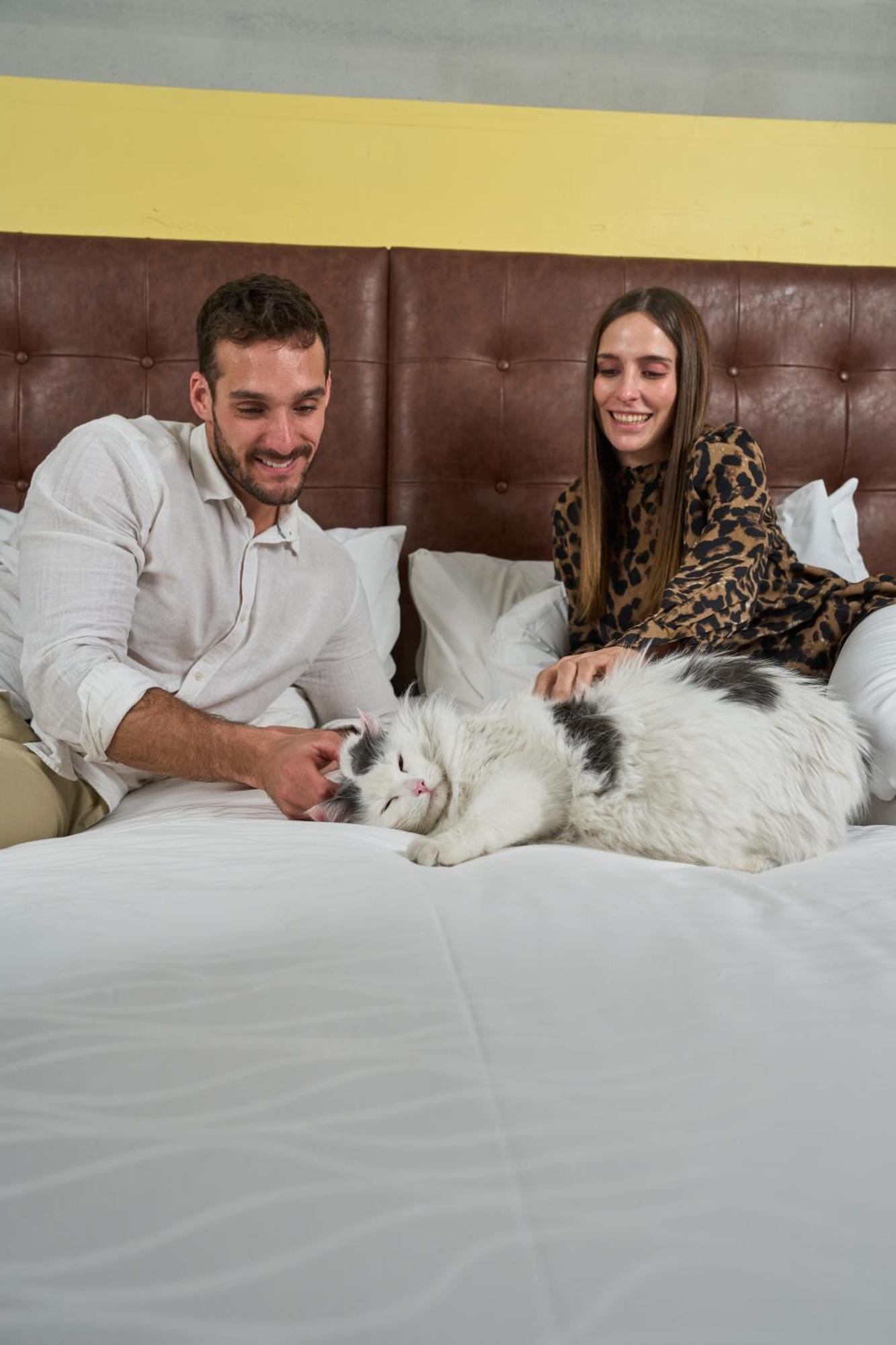 Hotel Pullman Santiago El Bosque Zewnętrze zdjęcie A cat with its owners